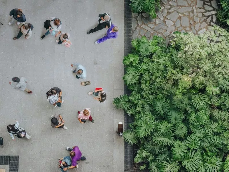 Overhead view of diverse people walking on a grey tiled plaza alongside a lush green garden with various tropical plants.